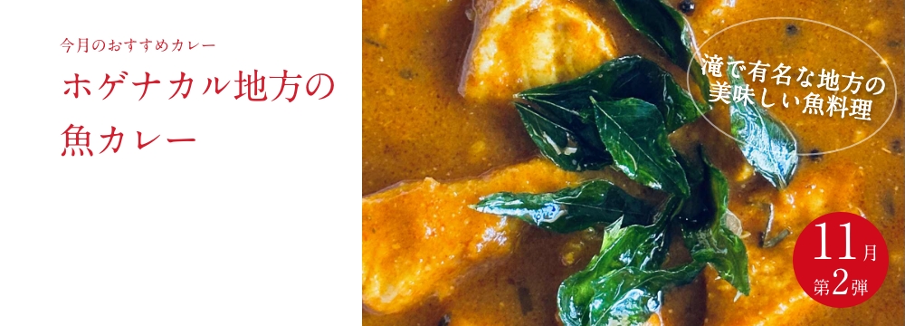 今月のおすすめ　 『ホゲナカル地方の魚カレー』